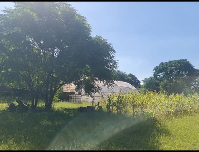 2HA FARM FOR SALE IN KAALPLAATS